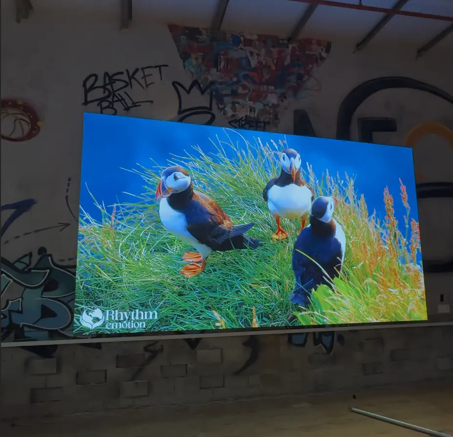 3 מסכי ענק במתחם המשחקים נאוג׳ה ישראל - תמונה 4